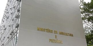 Foto: Mapa/Divulgação.
