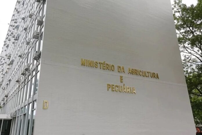 Foto: Mapa/Divulgação.