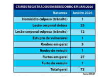 Bebedouro registra 2,35 crimes por dia em janeiro; furtos caem 38,6% em um ano
