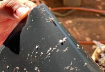 Bebedouro começa 2026 sem casos de dengue e continua reforço de combate ao mosquito