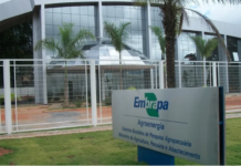 Embrapa propõe 163 medidas para reduzir riscos climáticos na agropecuária