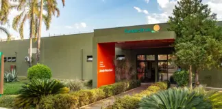 Chuva eleva projeção da safra de laranja