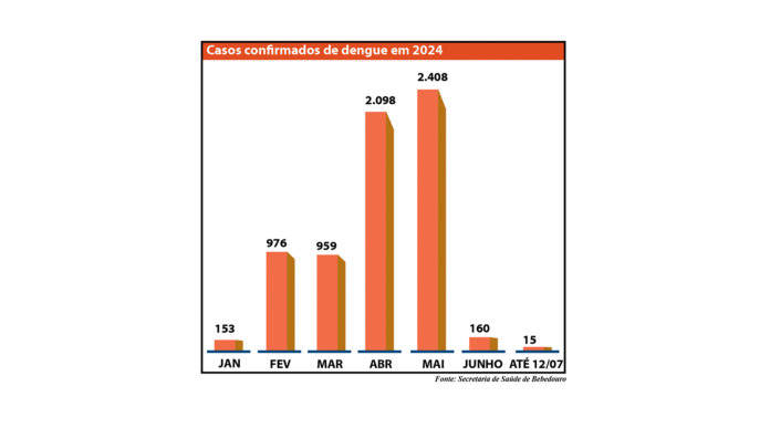 grafico dengue site