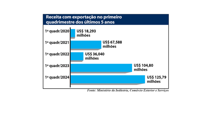 grafico exportação site