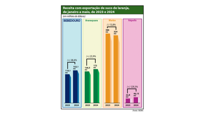 grafico exportação site