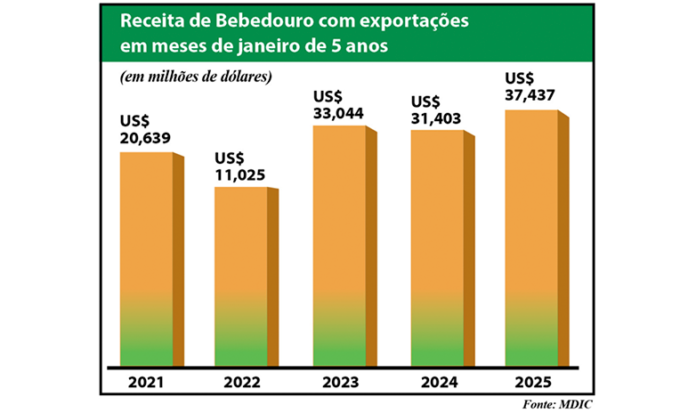 grafico exportação site