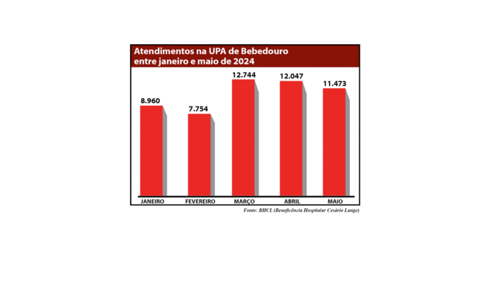 grfico atendimentos upa site