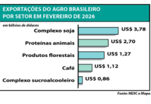 Agro brasileiro registra maior exportação da história para fevereiro