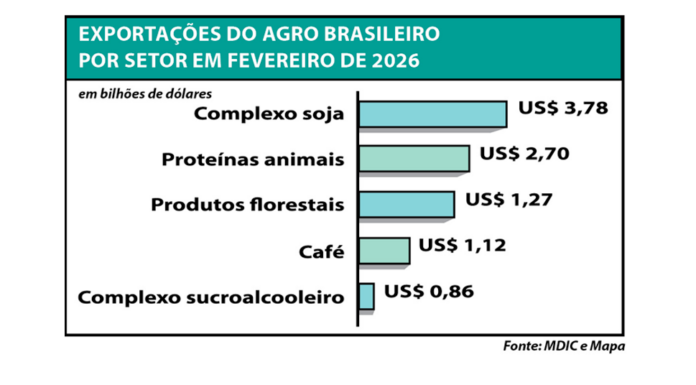 home principal modelo