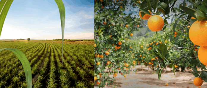 home principal modelo