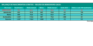De 65 a 104 óbitos a cada 100 nascimentos: veja como as cidades da região fecharam ano