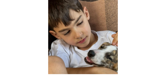 home principal modelo