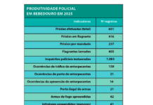 Bebedouro fecha 2025 com mais de 600 prisões e mil inquéritos policiais