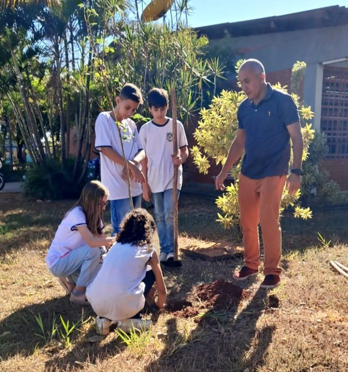 ipê Abilio 1 - Copia