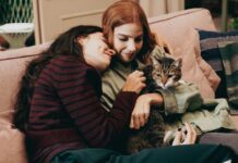 Loquinha entrega revolução histórica na representatividade e no gênero das novelinhas com texto e direção bem desenhados