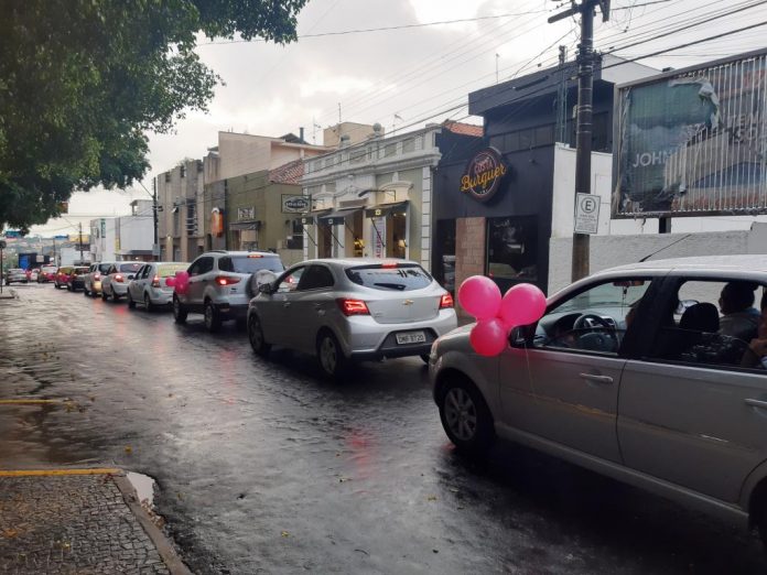 mini_Carreata (35)