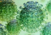 Governo de SP anuncia suspensão de aulas na rede estadual