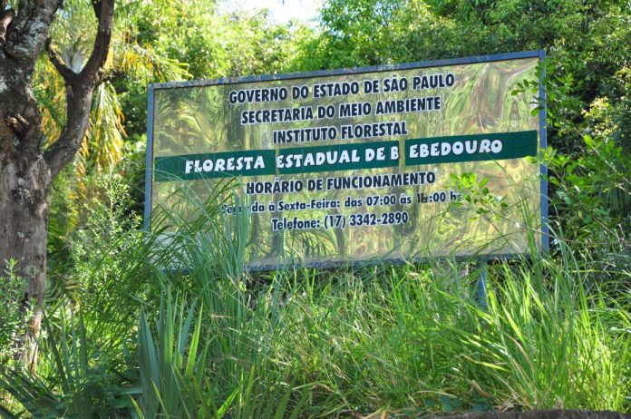 “O Horto está abandonado. O Estado não tomou nenhuma providência e pelo jeito não tomará. Recebi informações de que o Ministério Público acionará o Governo Estadual por omissão.