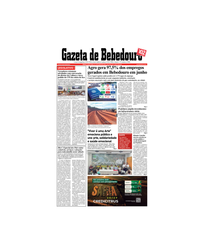 modelo capa site