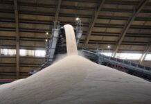 Brasil deve manter mercado global de açúcar abastecido, apesar de riscos climáticos