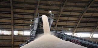 Brasil deve manter mercado global de açúcar abastecido, apesar de riscos climáticos