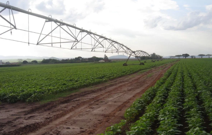 sistema de irrigação