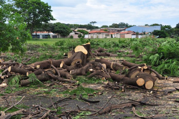 (…) Leia mais na edição 10348, de 20 a 21 de dezembro de 2018.